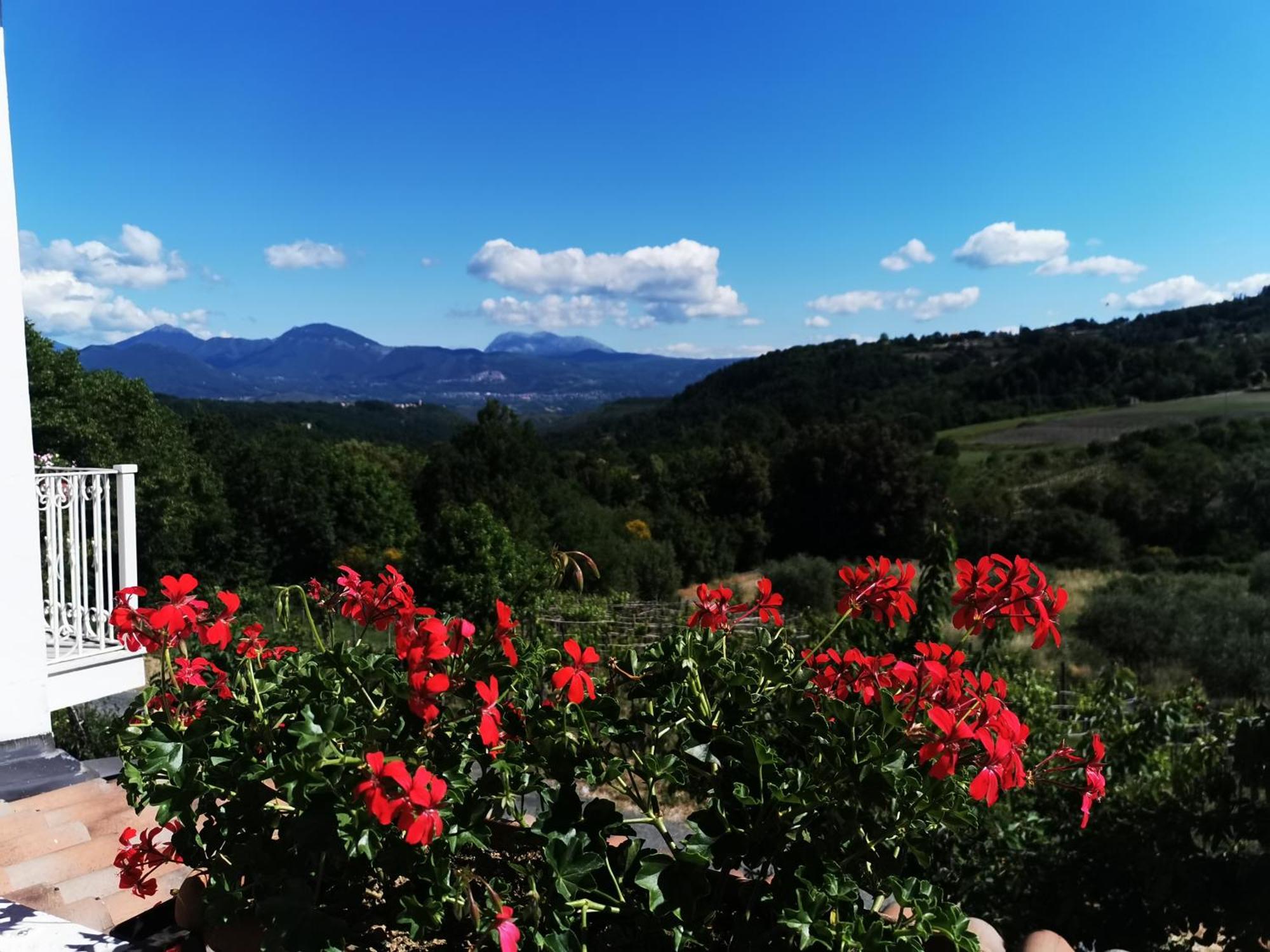 Agriturismo Donna Bianca Mormanno Exterior photo