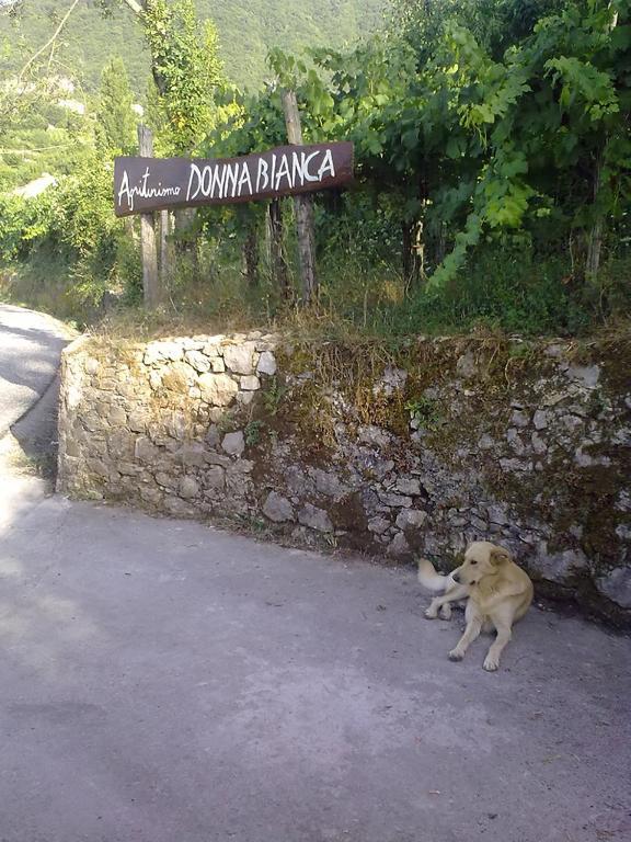 Agriturismo Donna Bianca Mormanno Exterior photo